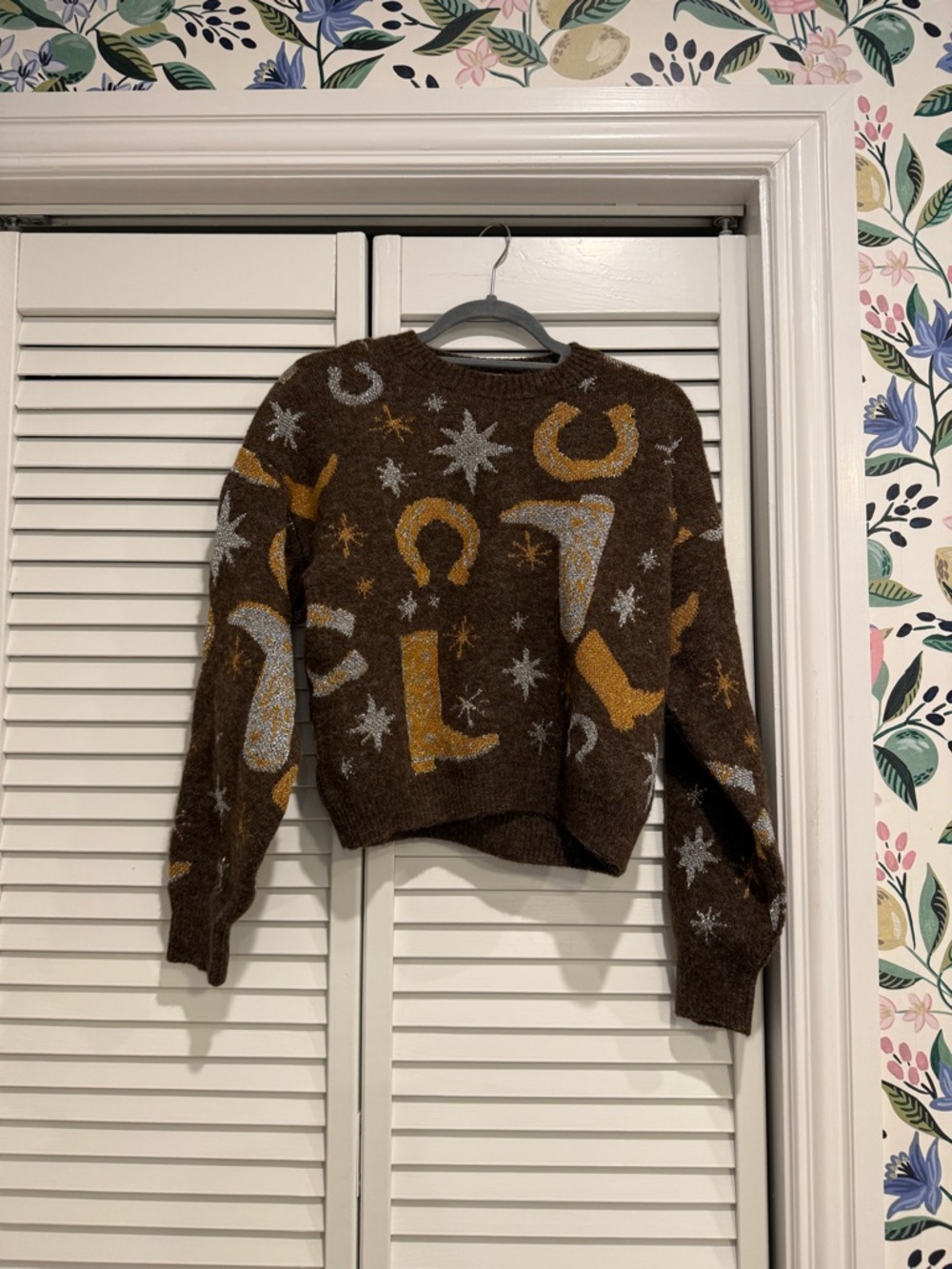 Zara western sweater